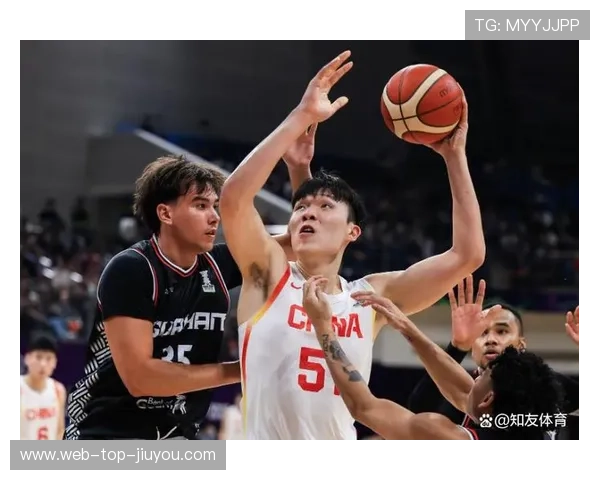 杨瀚森DNP被视作长期利好，杨翰笙个人介绍