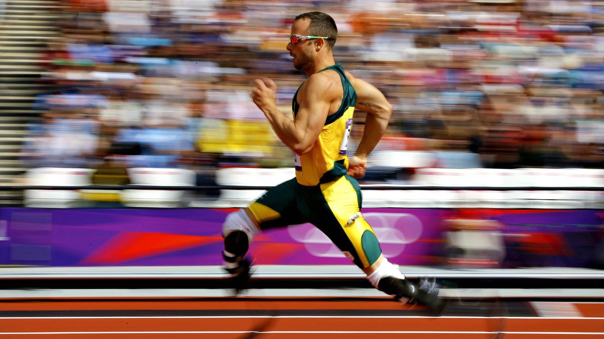 多米尼加传统武术运动持续火热,多米尼加是个怎样的国家